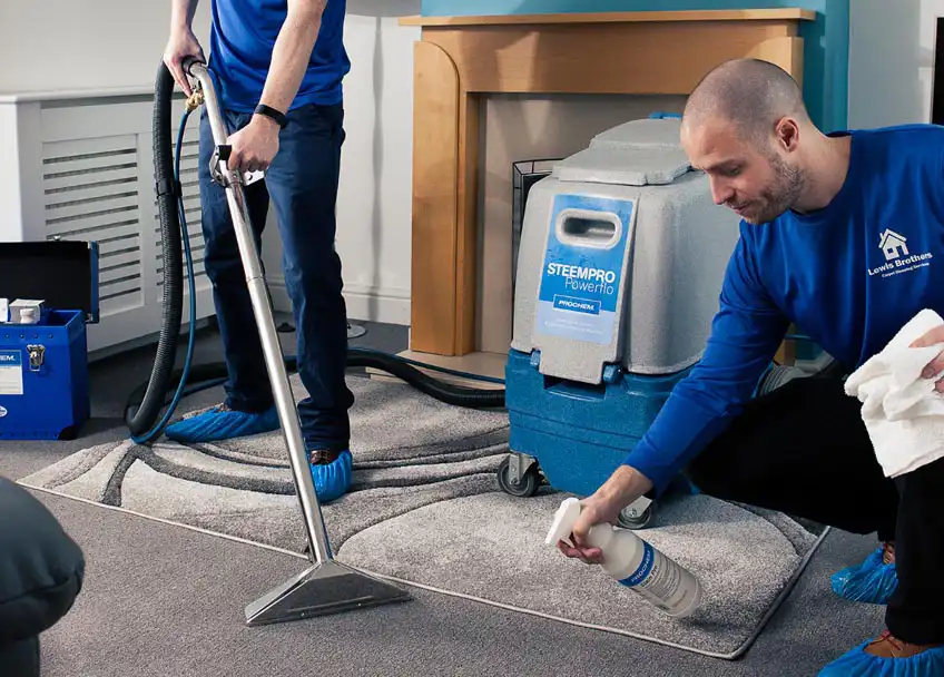 Web design for carpet cleaners
